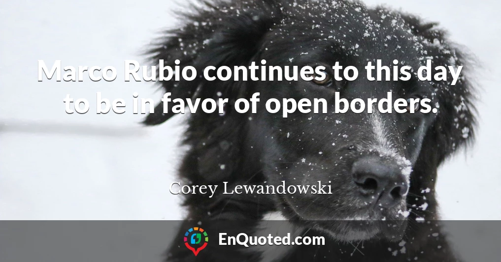 Marco Rubio continues to this day to be in favor of open borders.