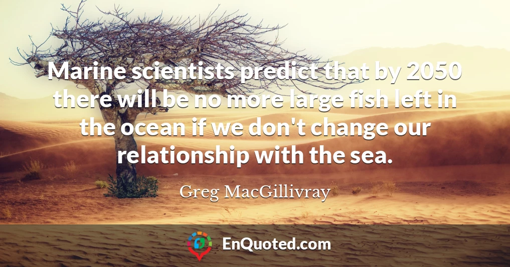 Marine scientists predict that by 2050 there will be no more large fish left in the ocean if we don't change our relationship with the sea.