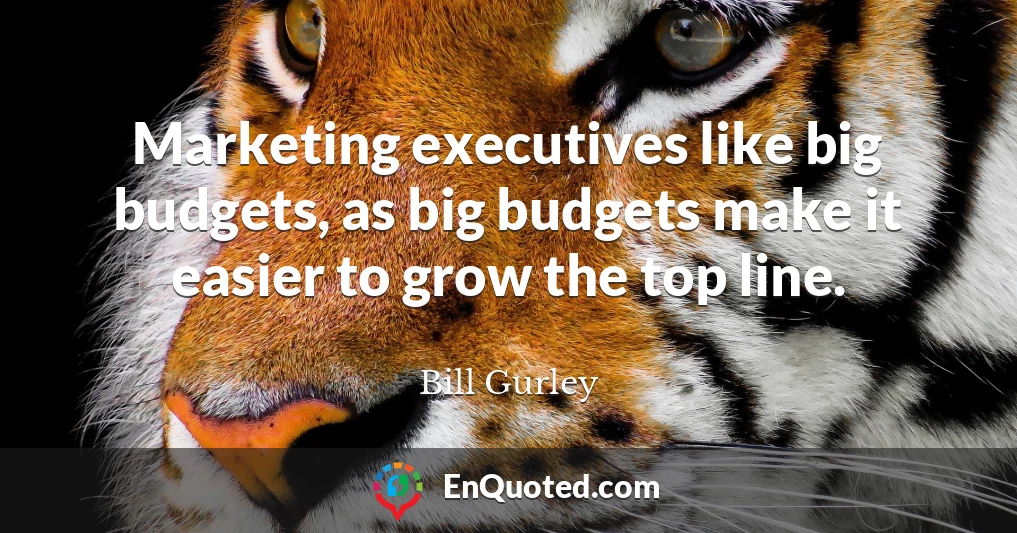 Marketing executives like big budgets, as big budgets make it easier to grow the top line.