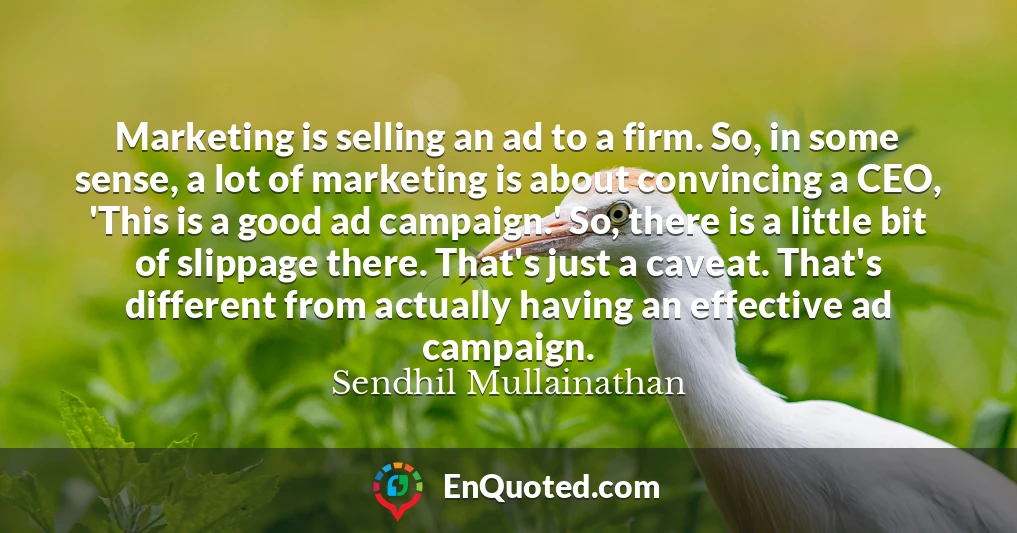 Marketing is selling an ad to a firm. So, in some sense, a lot of marketing is about convincing a CEO, 'This is a good ad campaign.' So, there is a little bit of slippage there. That's just a caveat. That's different from actually having an effective ad campaign.