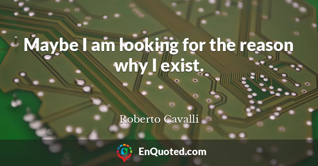 Maybe I am looking for the reason why I exist.