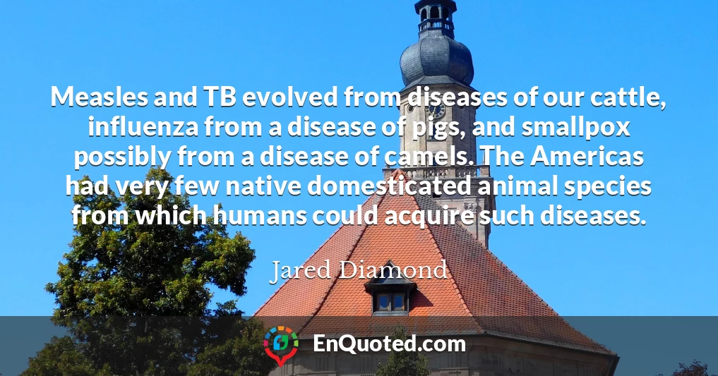 Measles and TB evolved from diseases of our cattle, influenza from a disease of pigs, and smallpox possibly from a disease of camels. The Americas had very few native domesticated animal species from which humans could acquire such diseases.