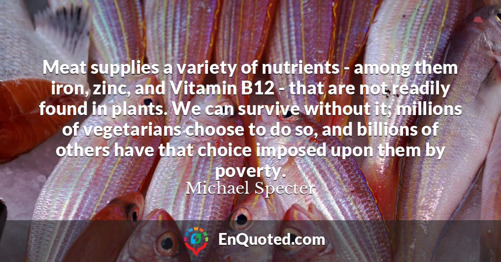 Meat supplies a variety of nutrients - among them iron, zinc, and Vitamin B12 - that are not readily found in plants. We can survive without it; millions of vegetarians choose to do so, and billions of others have that choice imposed upon them by poverty.
