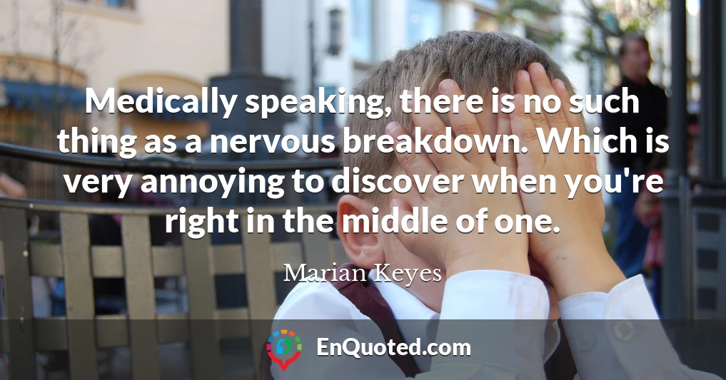 Medically speaking, there is no such thing as a nervous breakdown. Which is very annoying to discover when you're right in the middle of one.