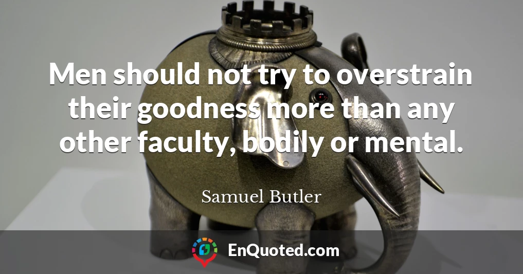 Men should not try to overstrain their goodness more than any other faculty, bodily or mental.