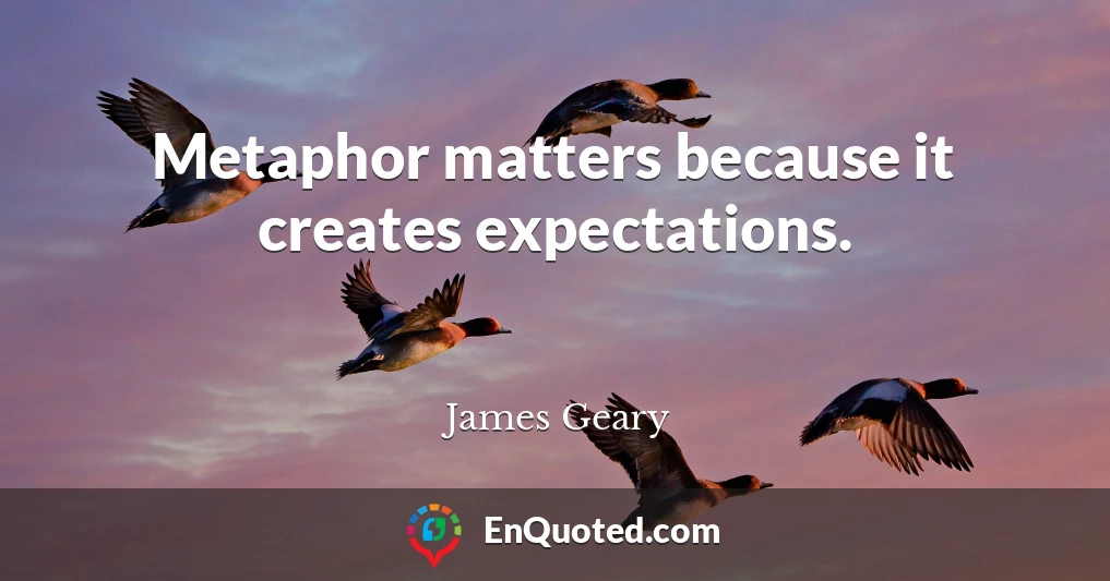 Metaphor matters because it creates expectations.