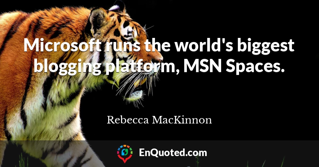 Microsoft runs the world's biggest blogging platform, MSN Spaces.