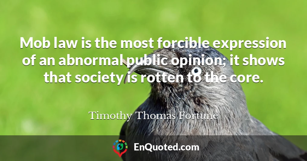 Mob law is the most forcible expression of an abnormal public opinion; it shows that society is rotten to the core.