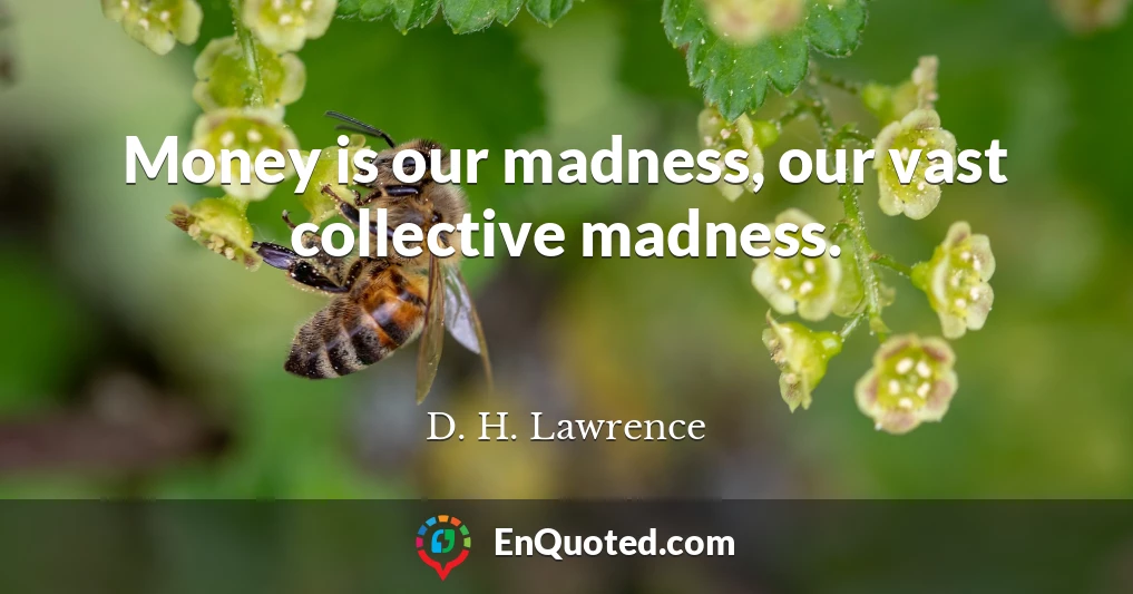 Money is our madness, our vast collective madness.