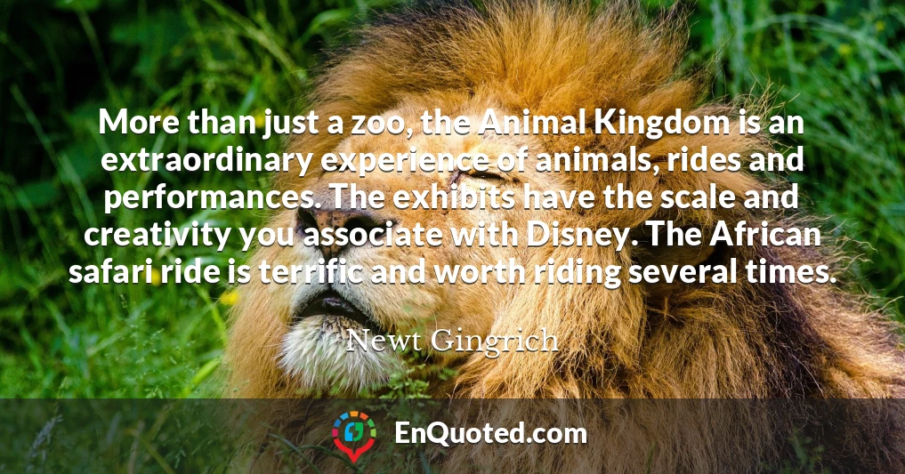 More than just a zoo, the Animal Kingdom is an extraordinary experience of animals, rides and performances. The exhibits have the scale and creativity you associate with Disney. The African safari ride is terrific and worth riding several times.