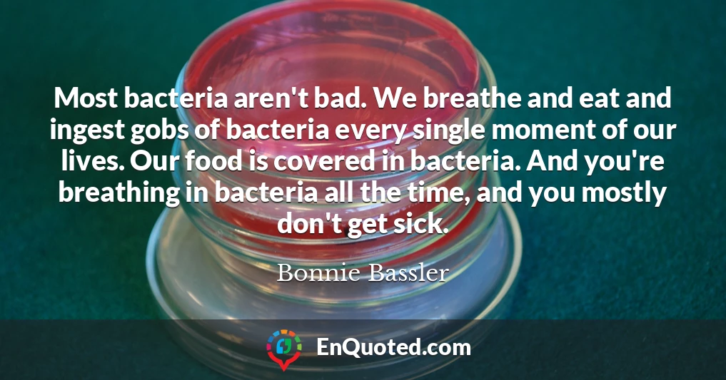 Most bacteria aren't bad. We breathe and eat and ingest gobs of bacteria every single moment of our lives. Our food is covered in bacteria. And you're breathing in bacteria all the time, and you mostly don't get sick.