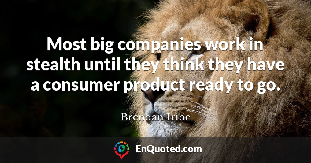 Most big companies work in stealth until they think they have a consumer product ready to go.