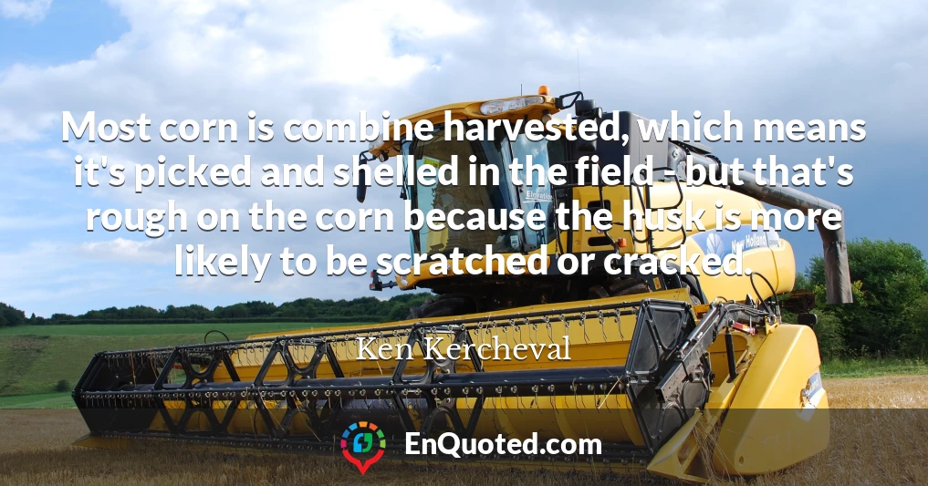 Most corn is combine harvested, which means it's picked and shelled in the field - but that's rough on the corn because the husk is more likely to be scratched or cracked.