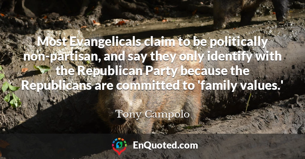 Most Evangelicals claim to be politically non-partisan, and say they only identify with the Republican Party because the Republicans are committed to 'family values.'