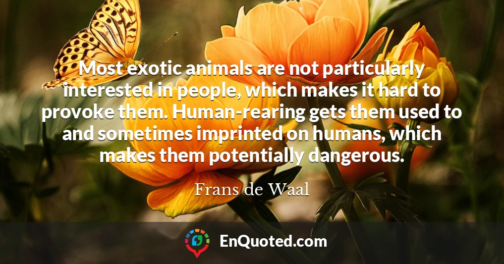 Most exotic animals are not particularly interested in people, which makes it hard to provoke them. Human-rearing gets them used to and sometimes imprinted on humans, which makes them potentially dangerous.