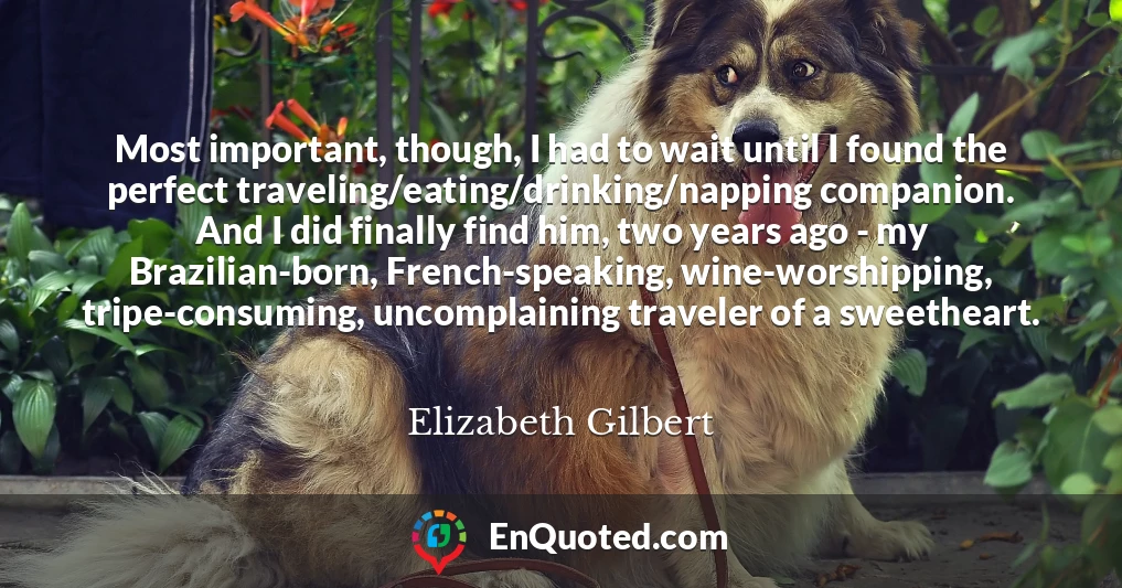 Most important, though, I had to wait until I found the perfect traveling/eating/drinking/napping companion. And I did finally find him, two years ago - my Brazilian-born, French-speaking, wine-worshipping, tripe-consuming, uncomplaining traveler of a sweetheart.