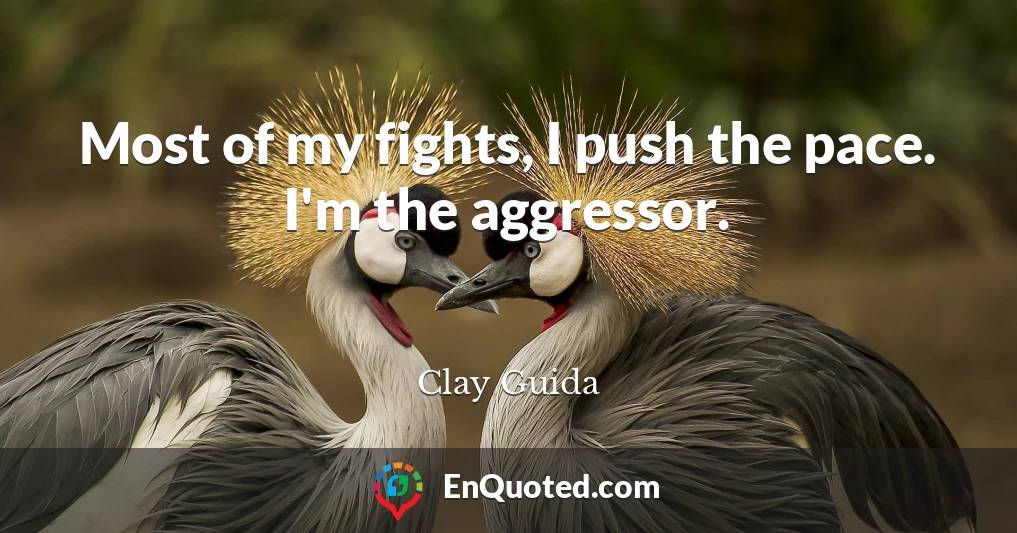 Most of my fights, I push the pace. I'm the aggressor.