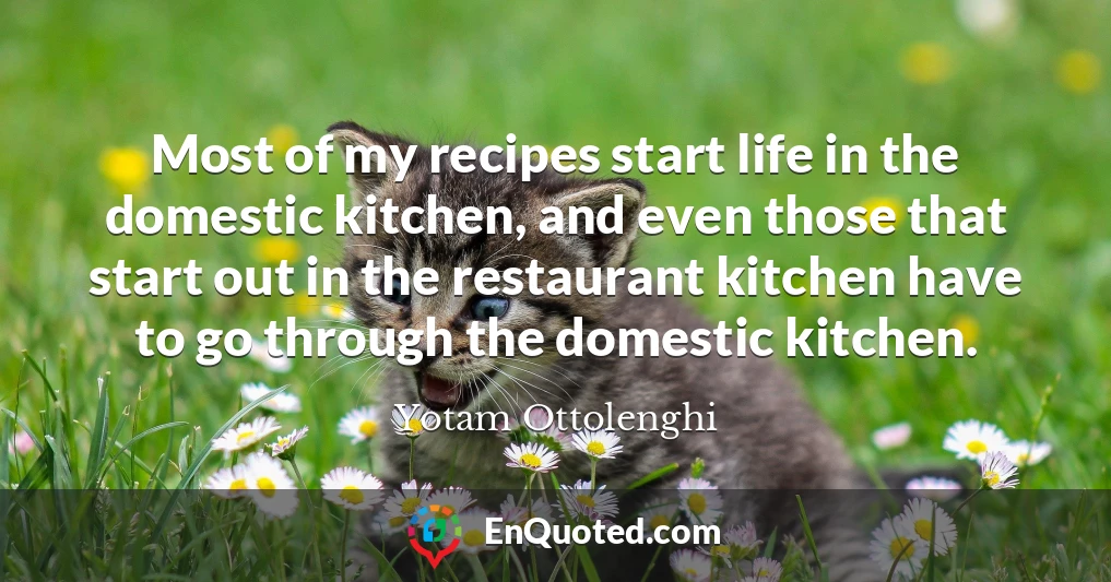 Most of my recipes start life in the domestic kitchen, and even those that start out in the restaurant kitchen have to go through the domestic kitchen.