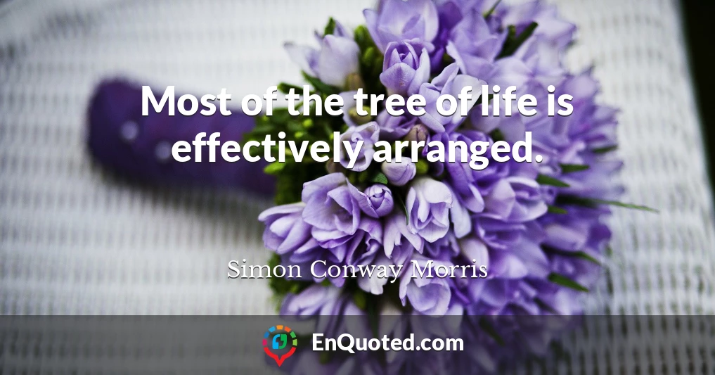 Most of the tree of life is effectively arranged.