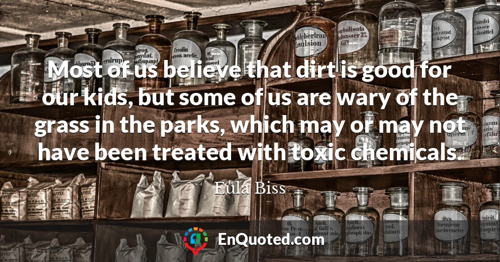 Most of us believe that dirt is good for our kids, but some of us are wary of the grass in the parks, which may or may not have been treated with toxic chemicals.