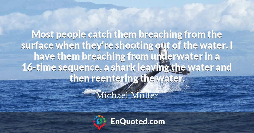 Most people catch them breaching from the surface when they're shooting out of the water. I have them breaching from underwater in a 16-time sequence, a shark leaving the water and then reentering the water.