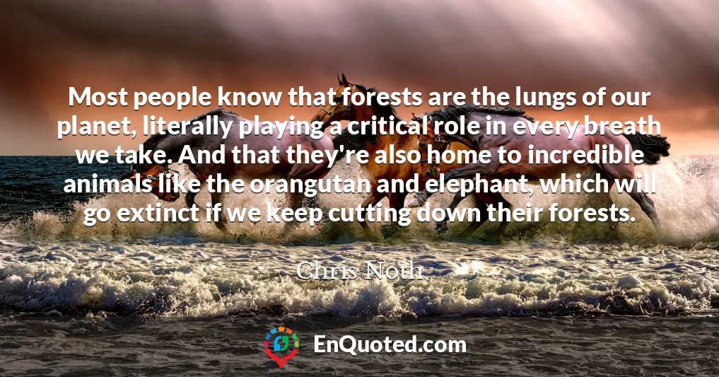 Most people know that forests are the lungs of our planet, literally playing a critical role in every breath we take. And that they're also home to incredible animals like the orangutan and elephant, which will go extinct if we keep cutting down their forests.