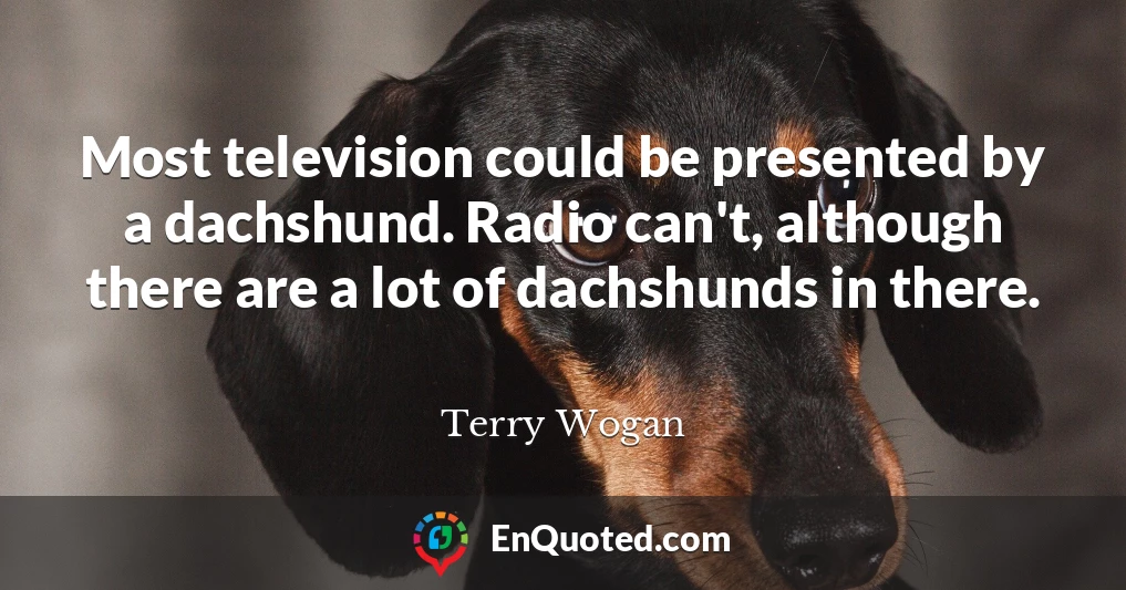 Most television could be presented by a dachshund. Radio can't, although there are a lot of dachshunds in there.