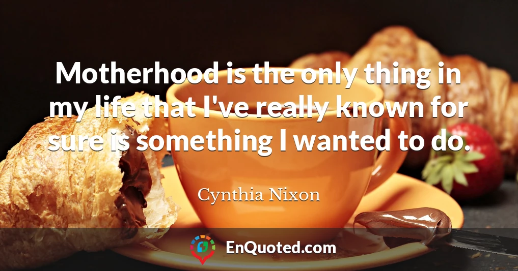 Motherhood is the only thing in my life that I've really known for sure is something I wanted to do.