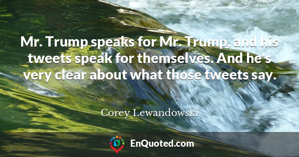 Mr. Trump speaks for Mr. Trump, and his tweets speak for themselves. And he's very clear about what those tweets say.