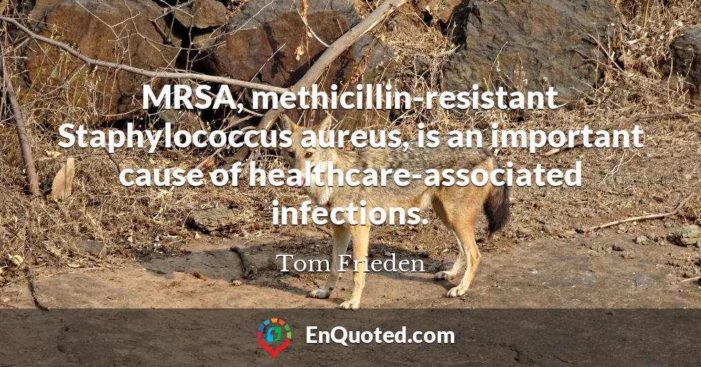 MRSA, methicillin-resistant Staphylococcus aureus, is an important cause of healthcare-associated infections.