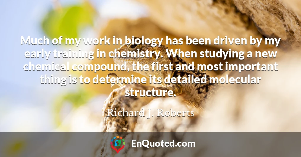 Much of my work in biology has been driven by my early training in chemistry. When studying a new chemical compound, the first and most important thing is to determine its detailed molecular structure.