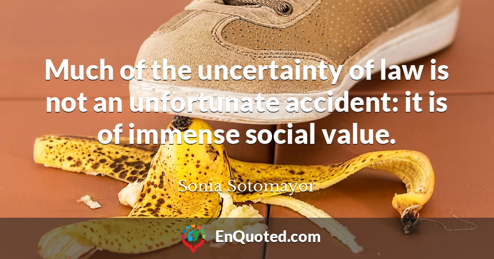 Much of the uncertainty of law is not an unfortunate accident: it is of immense social value.
