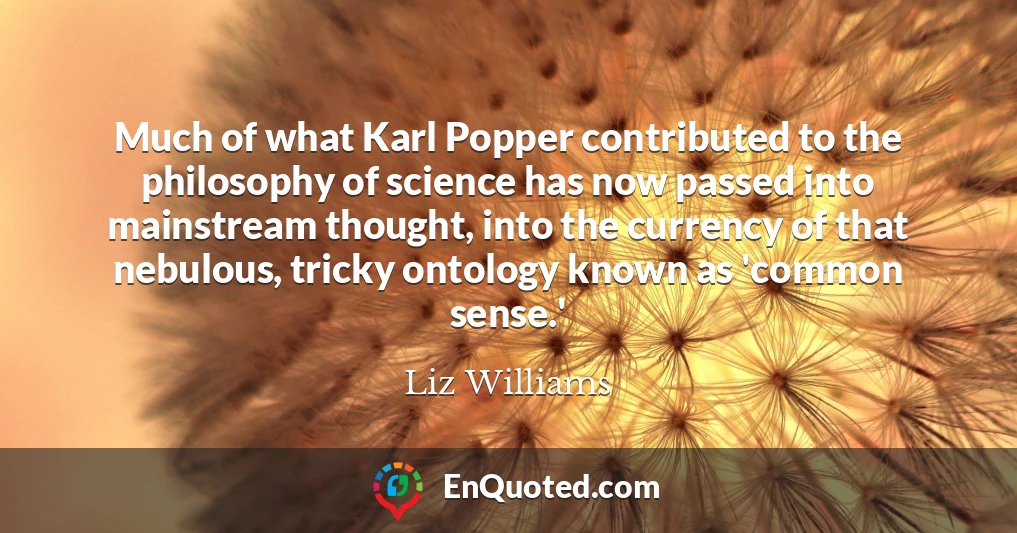 Much of what Karl Popper contributed to the philosophy of science has now passed into mainstream thought, into the currency of that nebulous, tricky ontology known as 'common sense.'