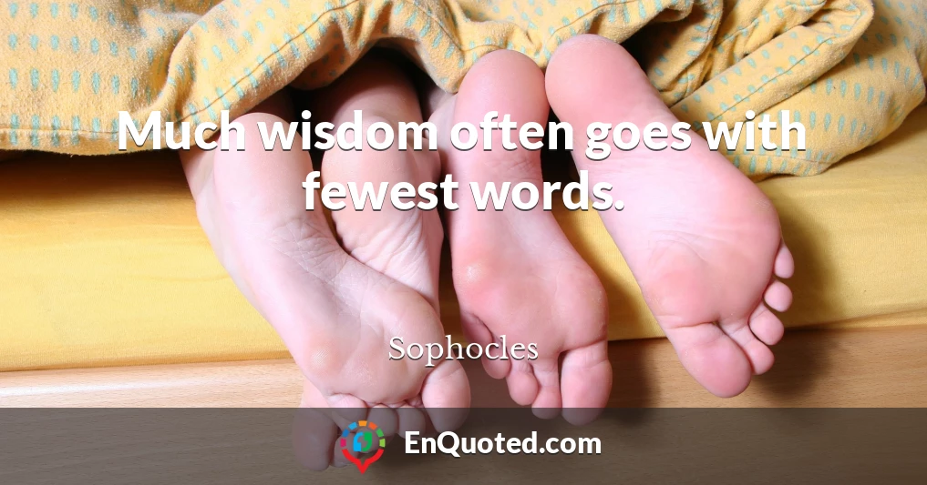 Much wisdom often goes with fewest words.