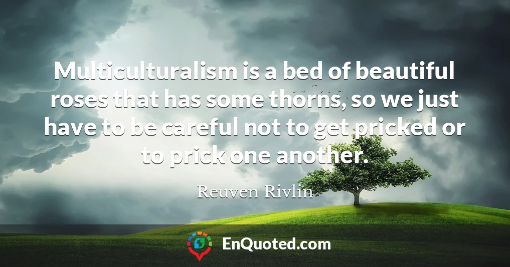 Multiculturalism is a bed of beautiful roses that has some thorns, so we just have to be careful not to get pricked or to prick one another.