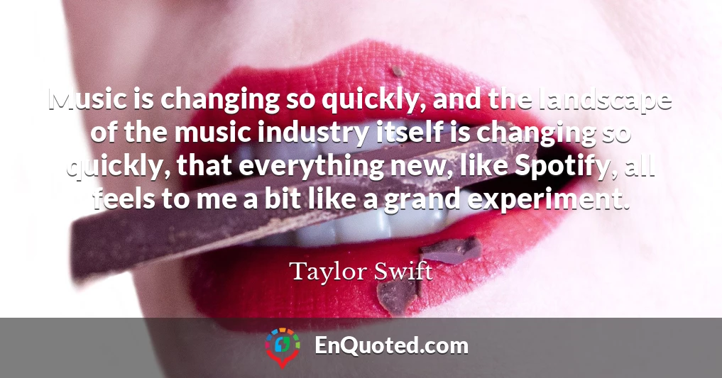 Music is changing so quickly, and the landscape of the music industry itself is changing so quickly, that everything new, like Spotify, all feels to me a bit like a grand experiment.