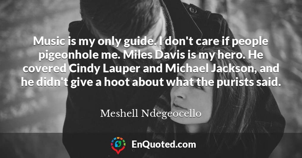 Music is my only guide. I don't care if people pigeonhole me. Miles Davis is my hero. He covered Cindy Lauper and Michael Jackson, and he didn't give a hoot about what the purists said.
