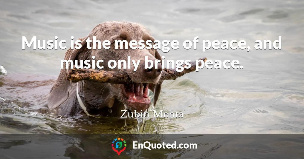 Music is the message of peace, and music only brings peace.
