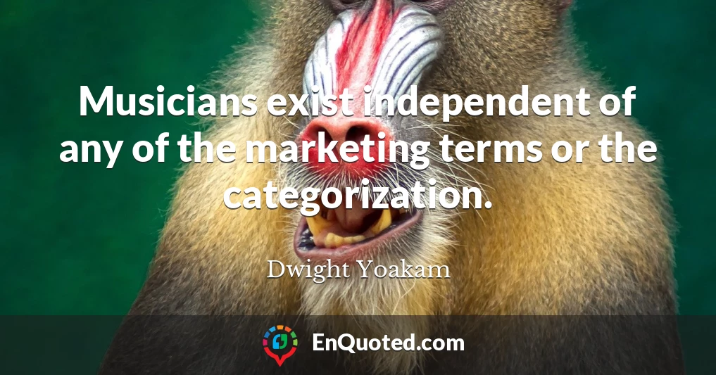 Musicians exist independent of any of the marketing terms or the categorization.