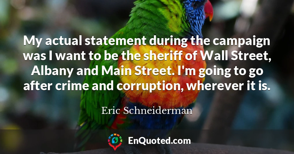 My actual statement during the campaign was I want to be the sheriff of Wall Street, Albany and Main Street. I'm going to go after crime and corruption, wherever it is.