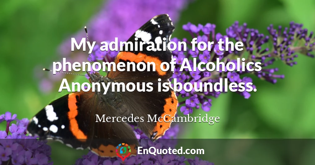 My admiration for the phenomenon of Alcoholics Anonymous is boundless.