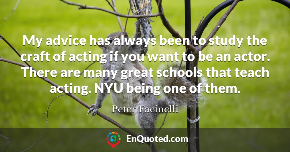 My advice has always been to study the craft of acting if you want to be an actor. There are many great schools that teach acting. NYU being one of them.
