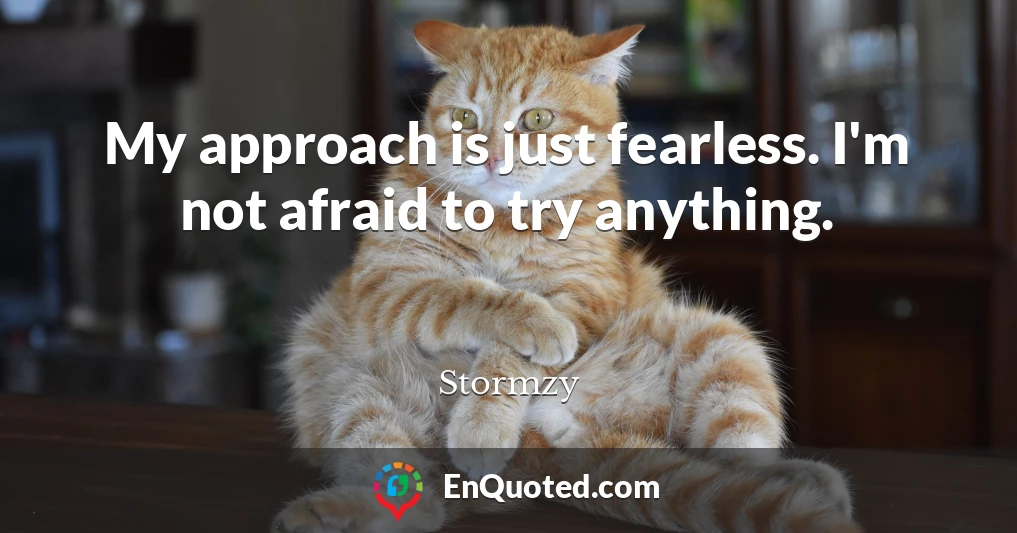 My approach is just fearless. I'm not afraid to try anything.