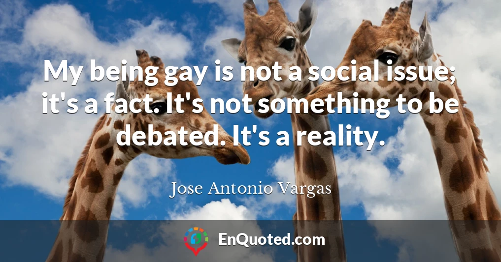 My being gay is not a social issue; it's a fact. It's not something to be debated. It's a reality.