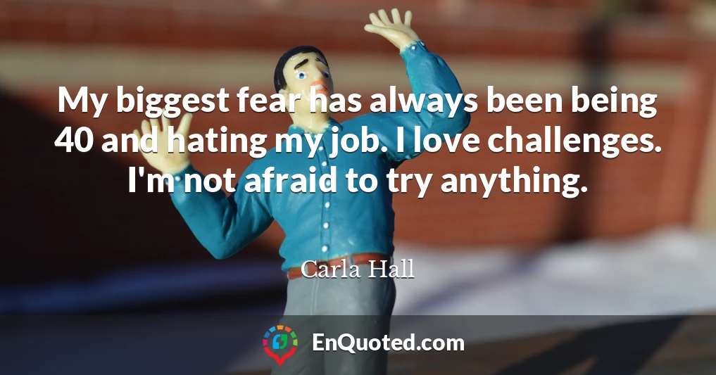 My biggest fear has always been being 40 and hating my job. I love challenges. I'm not afraid to try anything.