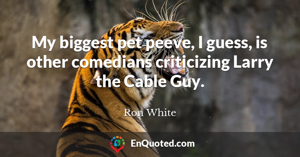 My biggest pet peeve, I guess, is other comedians criticizing Larry the Cable Guy.