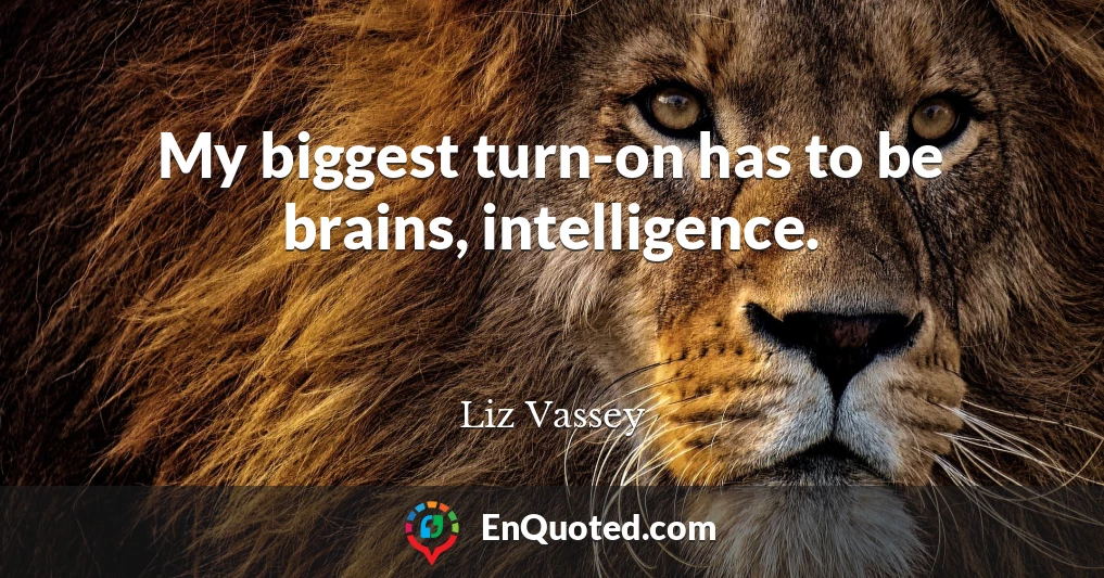 My biggest turn-on has to be brains, intelligence.