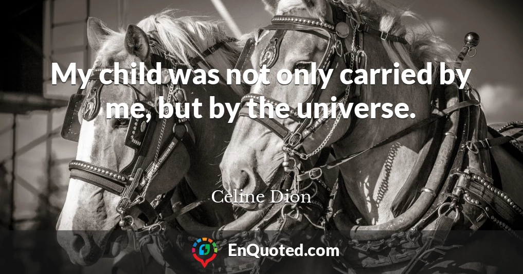 My child was not only carried by me, but by the universe.