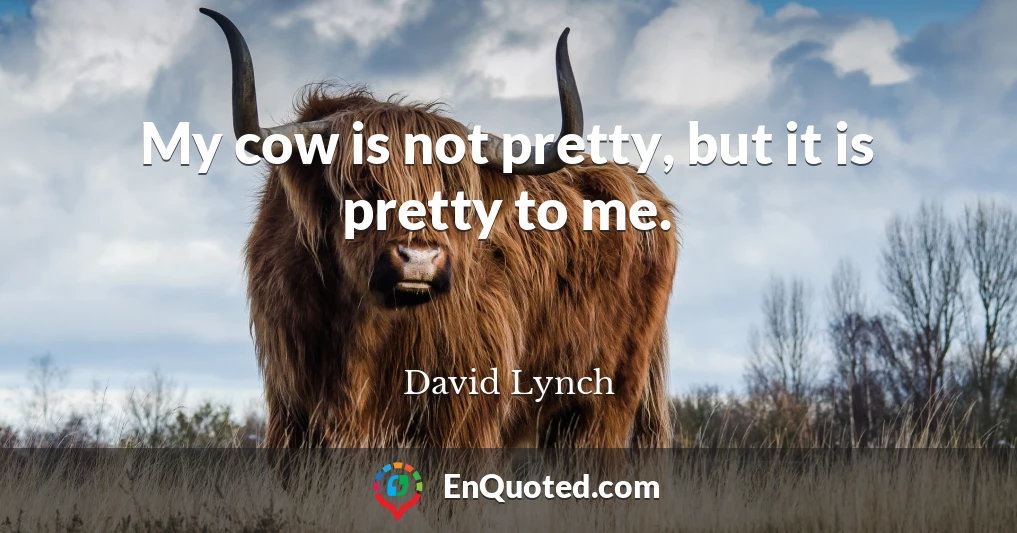 My cow is not pretty, but it is pretty to me.