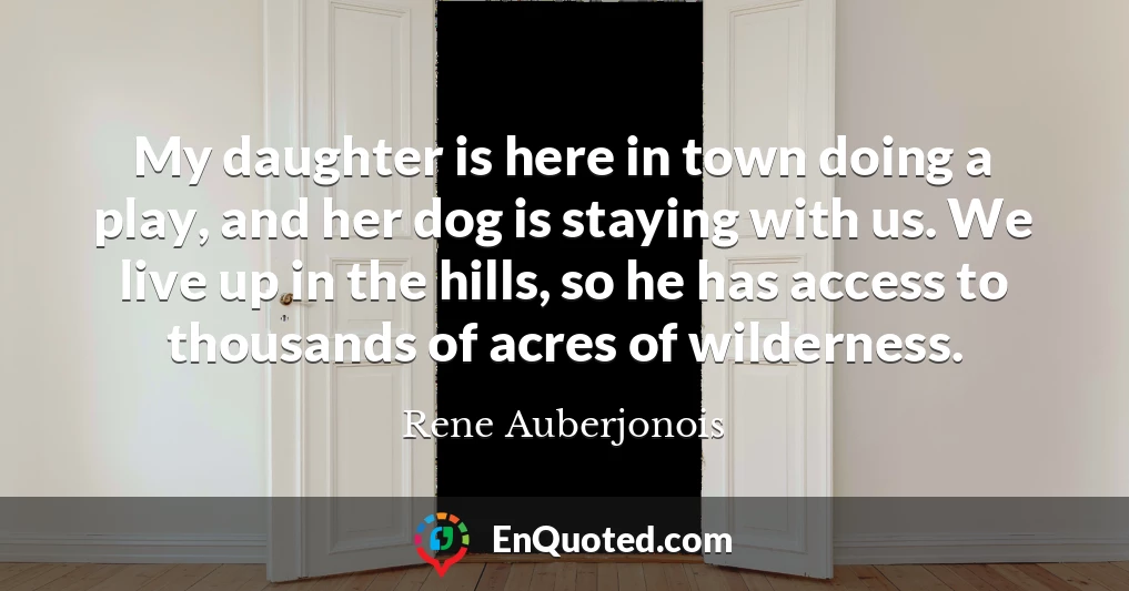 My daughter is here in town doing a play, and her dog is staying with us. We live up in the hills, so he has access to thousands of acres of wilderness.